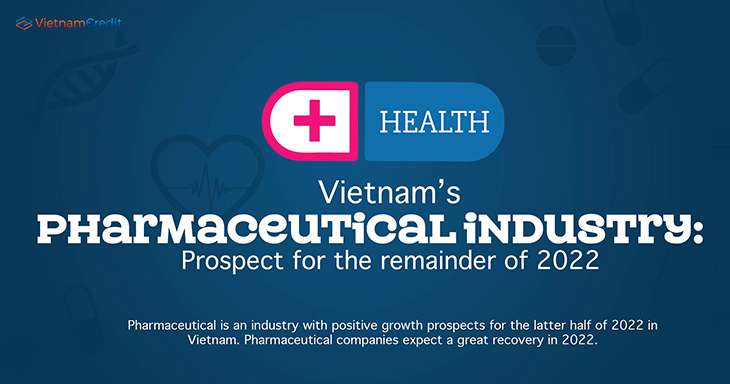 Vietnam’s pharmaceutical industry: Prospect for the remainder of 2022
